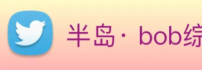 半岛· bob综合体育官方网站 Logo